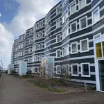 Rent 3 bedroom apartment of 93 m² in Russische buurt