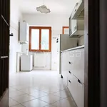 Rent 4 bedroom apartment of 127 m² in Roma