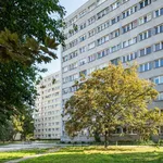 Rent 2 bedroom apartment of 37 m² in Warszawa