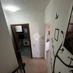 Affitto 2 camera appartamento di 65 m² in Albano Laziale