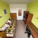 Rent 2 bedroom apartment of 45 m² in Capital City of Prague