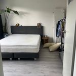 Fazantenveld, Cuijk - Amsterdam Apartments for Rent