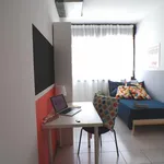 Rent 9 bedroom apartment in Trento