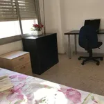 Rent a room in murcia