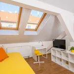 Studio o rozloze 30 m² v prague