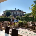 Rent 1 bedroom apartment of 55 m² in Anzio