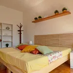 Rent 1 bedroom apartment of 45 m² in milan