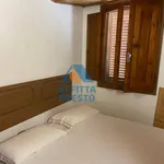 Rent 2 bedroom apartment of 45 m² in San Miniato