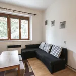 Rent 2 bedroom apartment in Praha 8