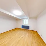 Rent 3 bedroom apartment in Plzeň