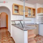 Rent 3 bedroom apartment of 48 m² in Břeclav