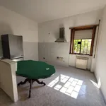 Rent 2 bedroom apartment of 65 m² in Roma