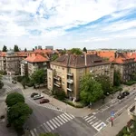 Rent 2 bedroom apartment of 43 m² in Poznan