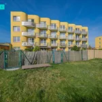 Rent 1 bedroom apartment of 33 m² in Olomouc