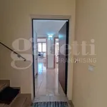 Rent 2 bedroom apartment of 55 m² in Brindisi