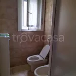 Rent 3 bedroom apartment of 80 m² in Torino