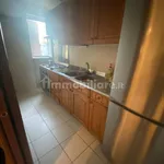 Rent 5 bedroom house of 207 m² in Piacenza