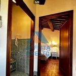 Rent 1 bedroom house of 55 m² in scandicci