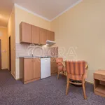 Rent 1 bedroom apartment in Prague