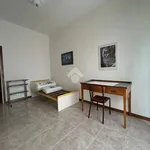 Affitto 3 camera appartamento di 85 m² in Pavia