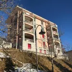 Rent 2 bedroom apartment of 45 m² in leysin