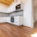 Pronajměte si 1 ložnic/e byt o rozloze 90 m² v Brno