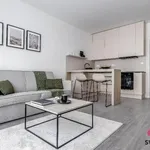 Rent 1 bedroom apartment in Prague