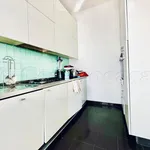 Rent 3 bedroom apartment of 110 m² in Magenta