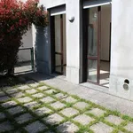 Rent 2 bedroom apartment of 65 m² in Monza