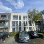 Rent 2 bedroom apartment in Mortsel