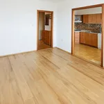 Rent 1 bedroom apartment of 38 m² in Capital City of Prague