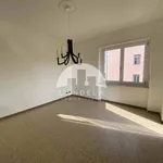 Affitto 5 camera appartamento di 115 m² in Mondovì