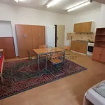 Rent 1 bedroom apartment of 52 m² in Vavřinec