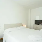 Rent 1 bedroom apartment in milan