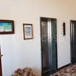 Rent 2 bedroom apartment of 60 m² in Busto Arsizio