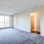 Rent 1 bedroom apartment in Windsor, ON