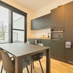 Rent 1 bedroom apartment in Leuven