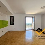 Rent 1 bedroom apartment of 45 m² in aci catena