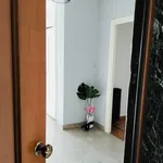 Rent 6 bedroom apartment in Turin