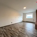 Rent 3 bedroom apartment of 100 m² in Vyškov