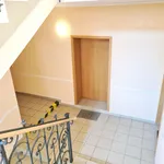 Rent 2 bedroom apartment of 50 m² in Chemnitz