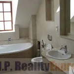 Rent 3 bedroom apartment of 110 m² in Prague