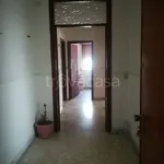 Rent 3 bedroom apartment of 110 m² in San Marco Argentano