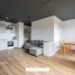 Rent 2 bedroom apartment of 49 m² in Poznan