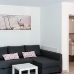 Rent 3 bedroom apartment of 60 m² in Cama