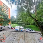 Rent 1 bedroom apartment in Opava