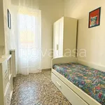 Rent 3 bedroom apartment of 60 m² in Pisa