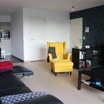 Huur 2 slaapkamer appartement van 79 m² in Willebroek