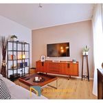 Rent 2 bedroom apartment of 55 m² in Treviso