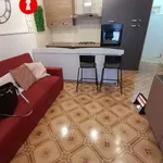 Rent 1 bedroom apartment of 40 m² in Camposano